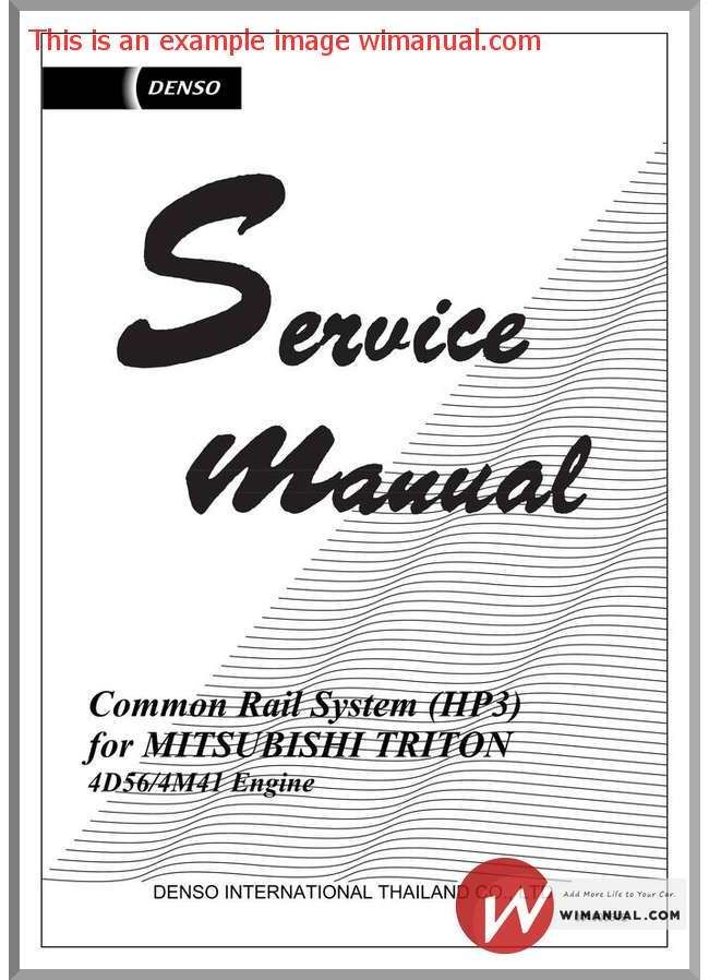 triton tank system instruction manual download