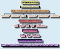 differentiated instruction strategies for students with disabilities